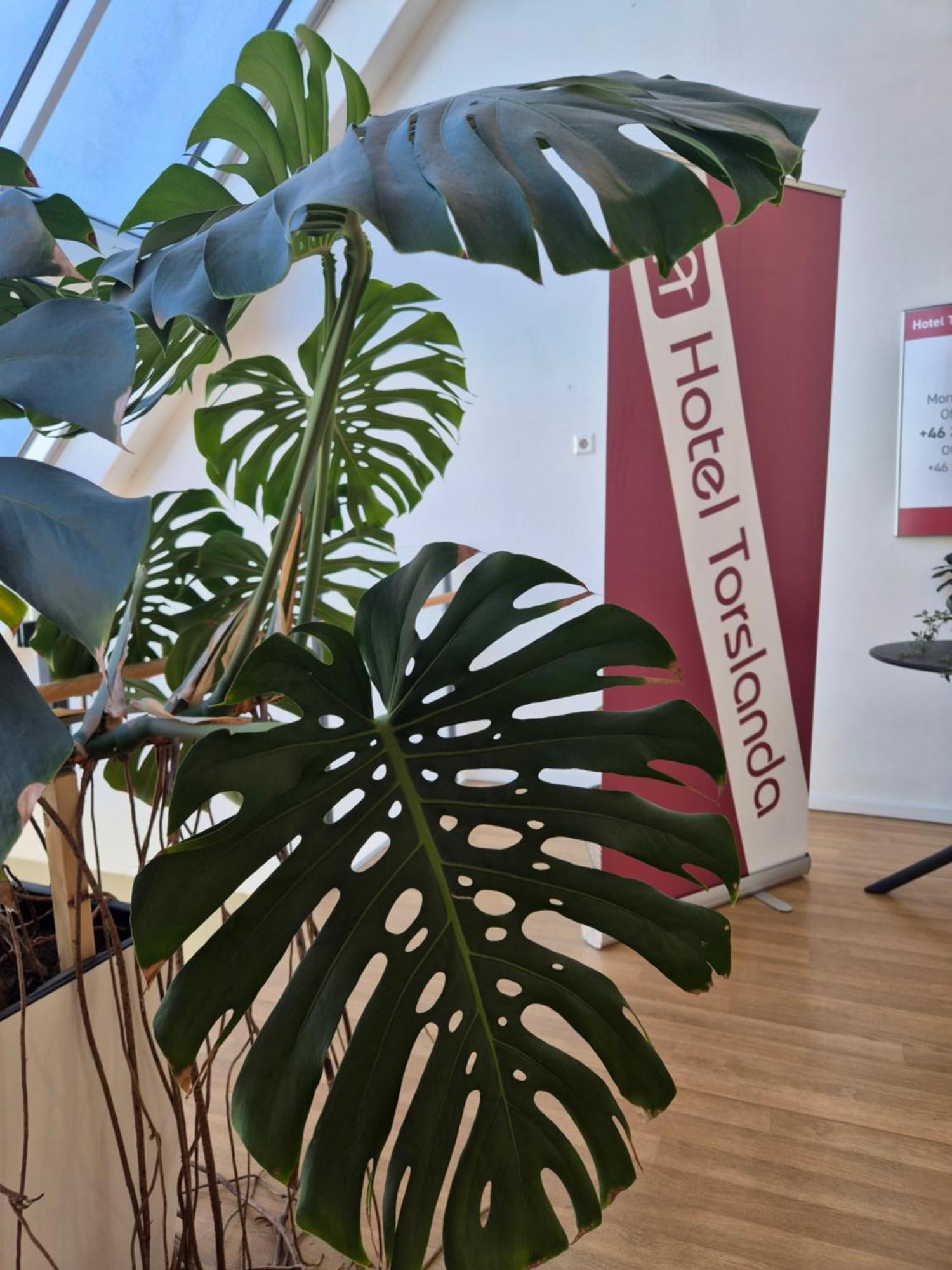 Hotel Torslanda ヨーテボリ エクステリア 写真
